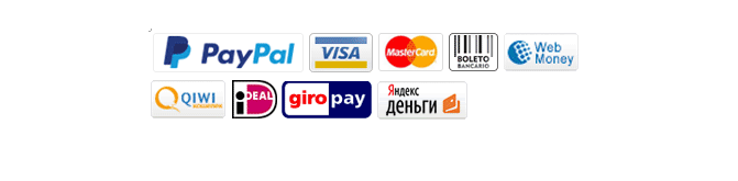 Banggod payment