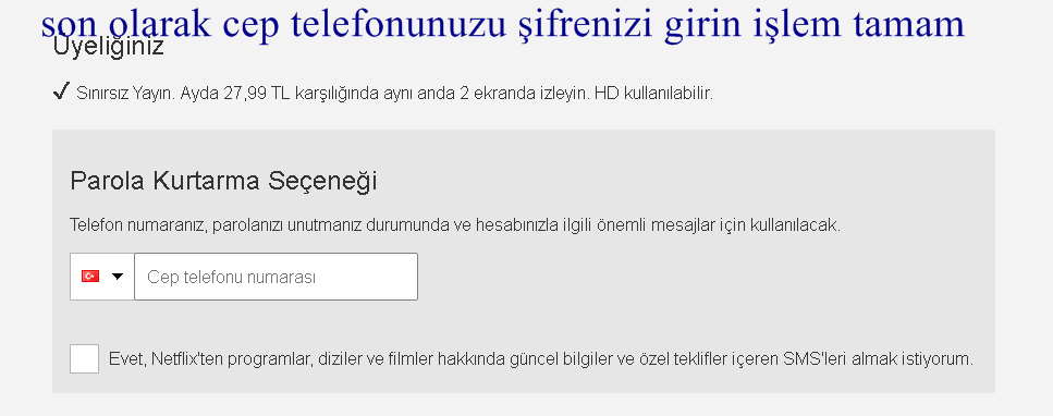 China post ordinary small packet plus kullananların dikkatine